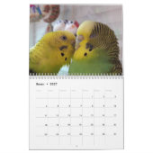 Chirpy Kalender 2024 (Jan 2027)