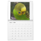 Chirpy Kalender 2024 (Mar 2026)