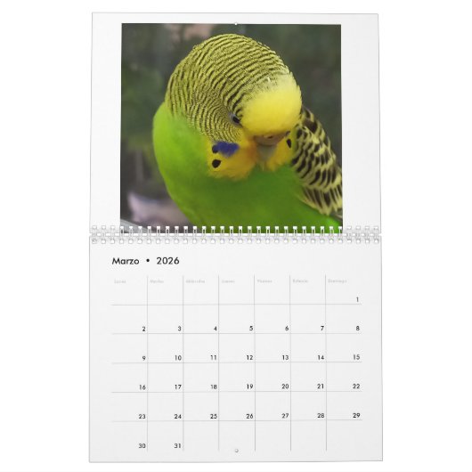 Chirpy Kalender 2024 (Mar 2026)
