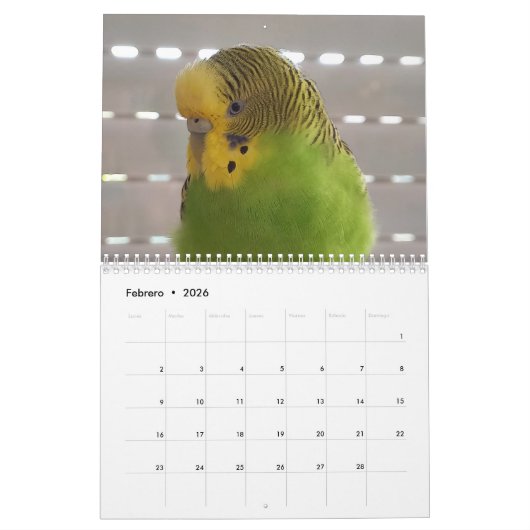 Chirpy Kalender 2024 (Feb 2026)