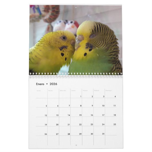 Chirpy Kalender 2024 (Jan 2026)