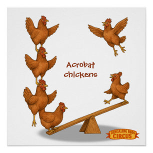 Chirpy Kippen acrobaten squad Perfect Poster