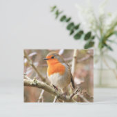 Chirpy Robin Briefkaart (Staand voorkant)