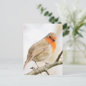Chirpy Robin Briefkaart (Staand voorkant)