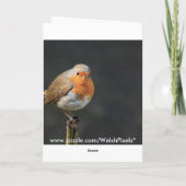 Chirpy Robin Kaart (Achterkant)