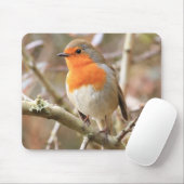 Chirpy Robin Muismat (Met muis)