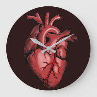 Chirurgische Anatomie Hart Illustratie Artistiek G