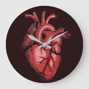 Chirurgische Anatomie Hart Illustratie Artistiek G Grote Klok