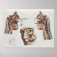 Chirurgische medische techniek  anatomische afdruk