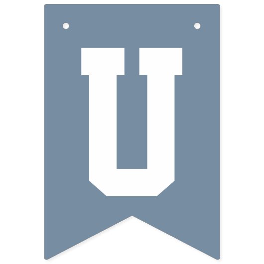 Chirurgische Tech Week Vlaggetjes (Tweede vlag)