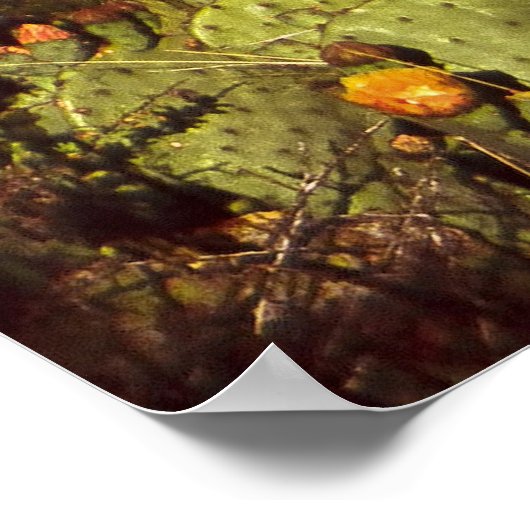 Chisos Moonrise Poster (Hoek)