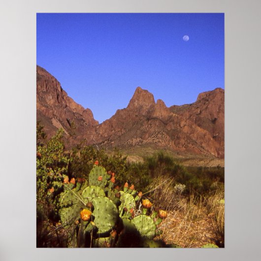 Chisos Moonrise Poster (Voorkant)