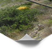 Chisos Mountains - Big Bend, Texas Poster (Hoek)