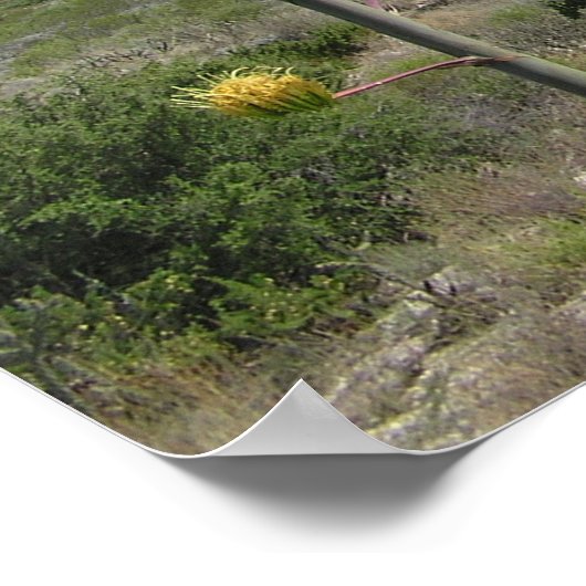 Chisos Mountains - Big Bend, Texas Poster (Hoek)