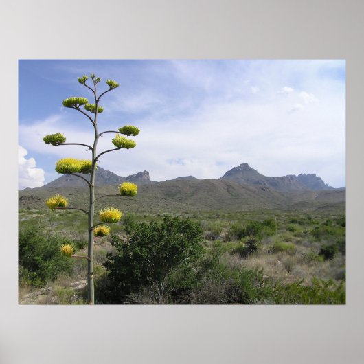 Chisos Mountains - Big Bend, Texas Poster (Voorkant)