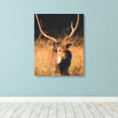 Chital Natural Habitat | Nationaal park Bandhavgar Canvas Afdruk (Insitu (Houten vloer))