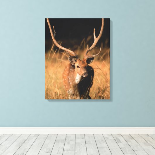Chital Natural Habitat | Nationaal park Bandhavgar Canvas Afdruk (Insitu (Houten vloer))