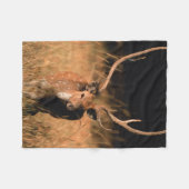 Chital Natural Habitat | Nationaal park Bandhavgar Fleece Deken (Voorkant (Horizontaal))