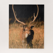 Chital Natural Habitat | Nationaal park Bandhavgar Legpuzzel (Verticaal)