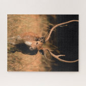 Chital Natural Habitat | Nationaal park Bandhavgar Legpuzzel (Horizontaal)