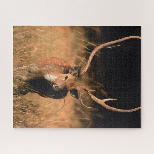 Chital Natural Habitat | Nationaal park Bandhavgar Legpuzzel (Horizontaal)