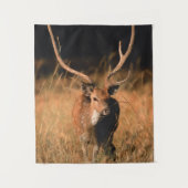 Chital Natural Habitat | Nationaal park Bandhavgar Wandkleed (Voorkant)