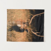 Chital Natural Habitat | Nationaal park Bandhavgar Wandkleed (Voorkant (horizontaal))