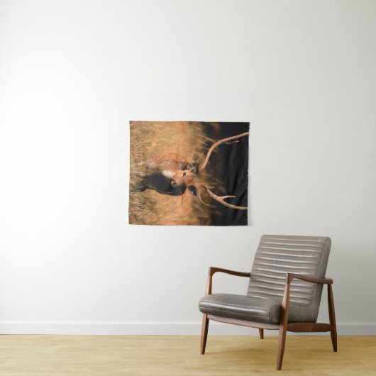 Chital Natural Habitat | Nationaal park Bandhavgar Wandkleed (In Situ (horizontaal))