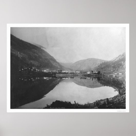 Chitina, Alaska Panoramic 1916 Poster (Voorkant)