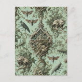 Chitinous Elegy – Gothic Insect Feestdagenkaart (Voorkant)