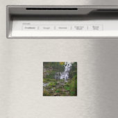 Chittenango-Herfsten Magneet (Insitu (Vaatwasser))