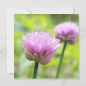 Chive Blossom Kaart (Achterkant)
