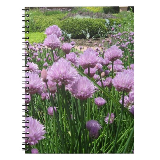 Chive Blossom Notebook Notitieboek (Voorkant)