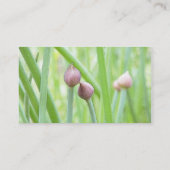 Chive Flower Buds Visitekaartje (Achterkant)