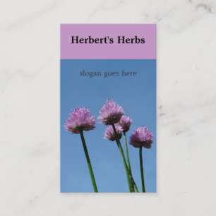 Chive Herb Flower Bloom Visitekaartje