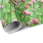 Chive knoppen cadeaupapier (Rol Hoek)
