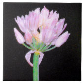 Chives Flower Tegeltje (Voorkant)