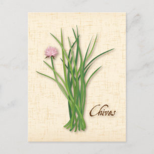 Chives Herb-Briefkaart aanpassen Briefkaart