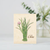 Chives Herb-Briefkaart aanpassen Briefkaart (Staand voorkant)