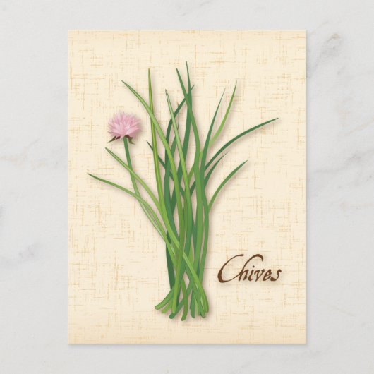 Chives Herb-Briefkaart aanpassen Briefkaart (Voorkant)