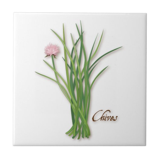Chives Herb Ceramic Tile Tegeltje (Voorkant)