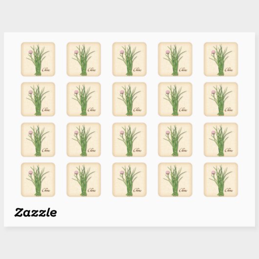 Chives Herb Square Sticker (Vel)