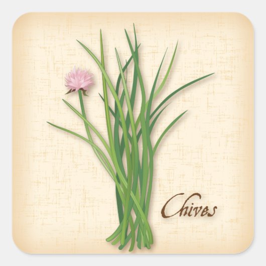 Chives Herb Square Sticker (Voorkant)