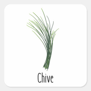 Chives Kruiden Kruiden Vierkante Sticker