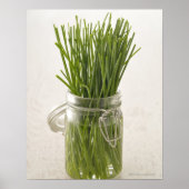 Chives Poster (Voorkant)