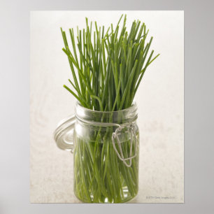 Chives Poster