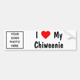 Chiweenie Bumpersticker