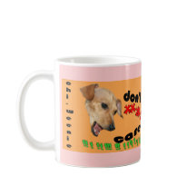 Chiweenie Don't Care