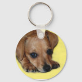 Chiweenie Puppy Sleutelhanger (Voorkant)