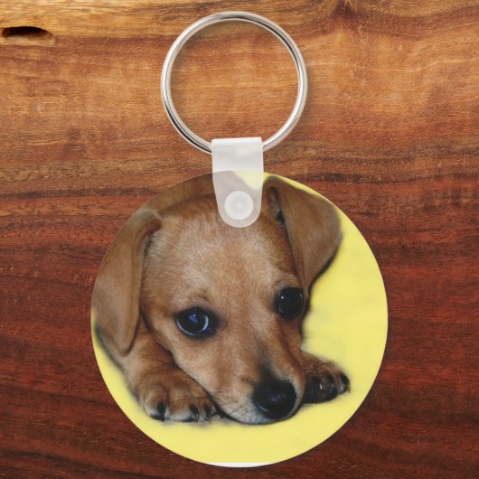 Chiweenie Puppy Sleutelhanger (Voorkant)